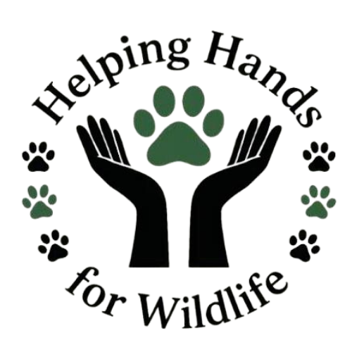 logo-helping-hands-4-wildlife