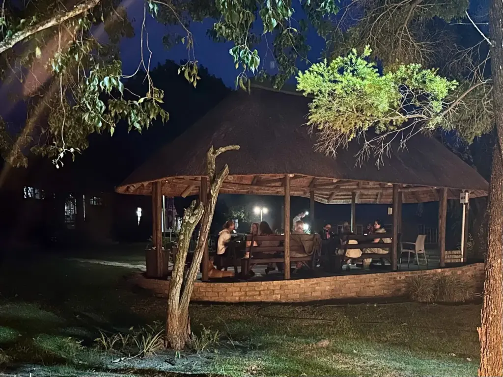 Helping Hands for Wildlife Südafrika Vervet Monkeys gemeinsames Essen