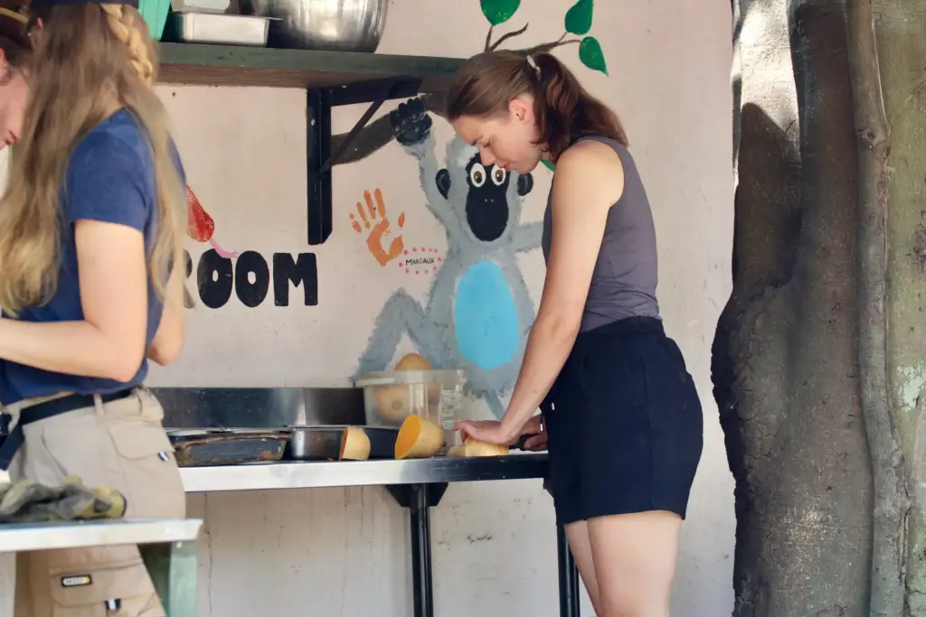 Helping Hands for Wildlife Südafrika Vervet Monkeys Volunteers Feeding Room