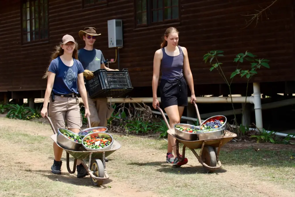 Helping Hands for Wildlife Südafrika Vervet Monkeys Volunteers Teamwork