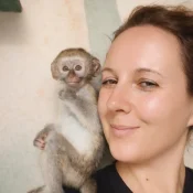 Helping Hands for Wildlife Südafrika Vervet Monkeys Volunteer Deutschland