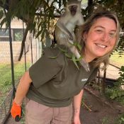 Helping Hands for Wildlife Südafrika Vervet Monkeys Volunteering Deutschland