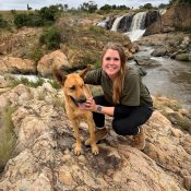 Helping Hands for Wildlife Südafrika Vervet Monkeys Volunteer Deutschland