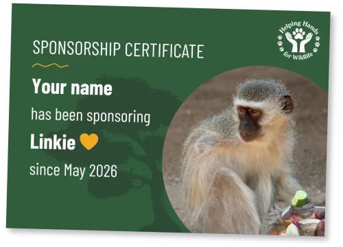 helping-hands-for-wildlife-patenschaftsurkunde-linkie-en