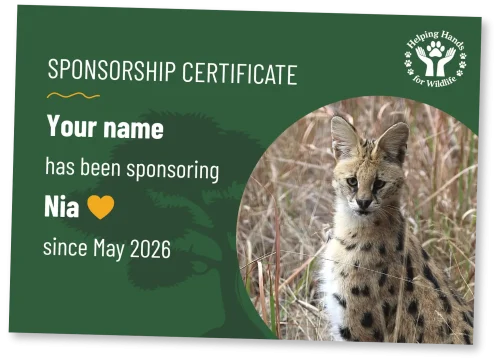 helping-hands-for-wildlife-patenschaftsurkunde-nia-en