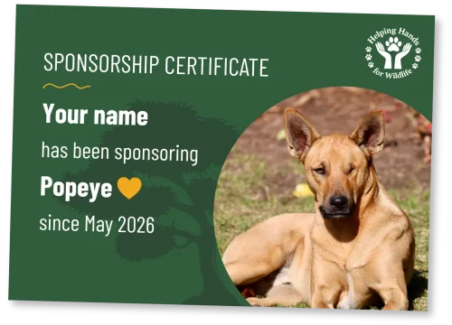 helping-hands-for-wildlife-patenschaftsurkunde-popeye-en